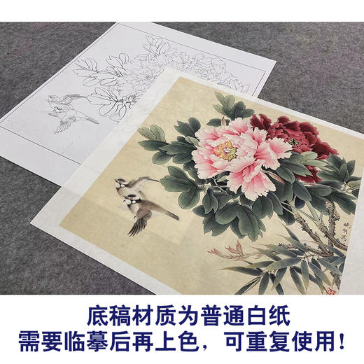 【大彩图】李晓明工笔画白描底稿斗方小品《相约到白头》牡丹临摹勾线花鸟线稿K045 商品图3