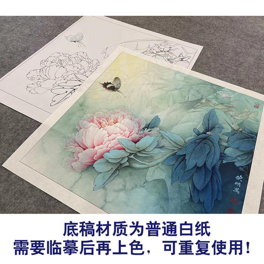 【大彩图】李晓明工笔画白描底稿斗方小品《赵粉凤尾蝶》牡丹临摹勾线花鸟线稿KA09 商品图3