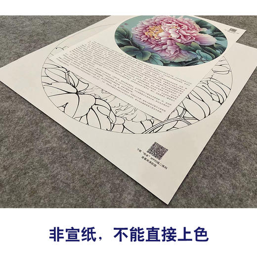 【大彩图】李晓明工笔画白描底稿圆形小品《雪映桃花》临摹勾线花鸟线稿KA03 商品图2