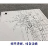 【大彩图】李晓明工笔画白描底稿《玉堂富贵》花瓶如意临摹勾线花鸟线稿K121 商品缩略图4