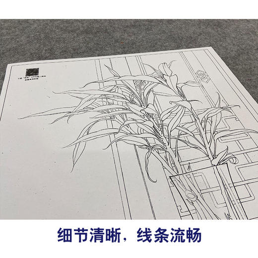 【大彩图】李晓明工笔画白描底稿《玉堂富贵》花瓶如意临摹勾线花鸟线稿K121 商品图4