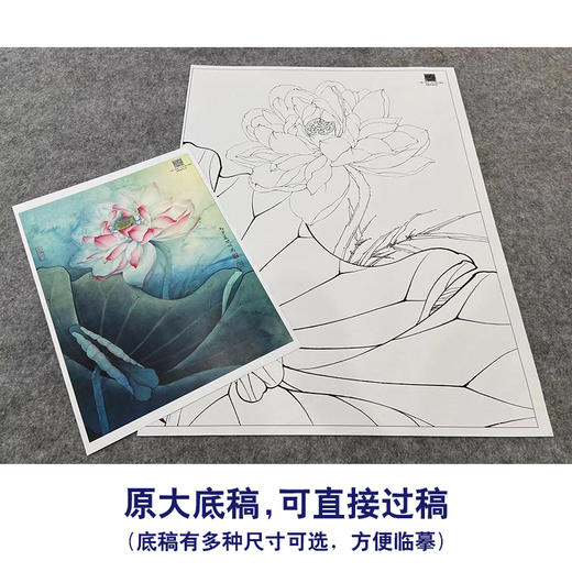 【大彩图】李晓明工笔画白描底稿《花娇欲语》荷花临摹勾线花鸟线稿K084 商品图1