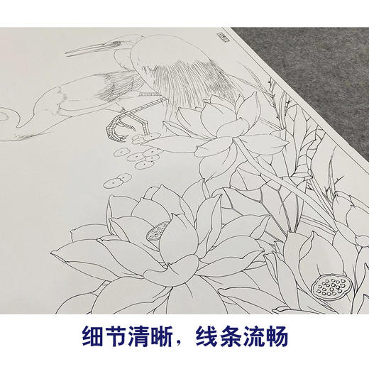 【大彩图】李晓明工笔画白描底稿《双鹭红莲》荷花白鹭临摹勾线花鸟线稿KA14 商品图4