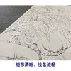 【大彩图】李晓明工笔画白描底稿《独占春风》牡丹鸽子临摹勾线花鸟线稿KA16 商品缩略图4