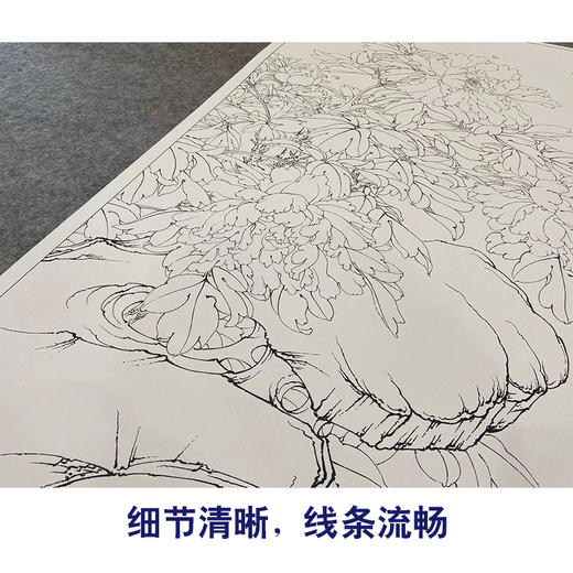 【大彩图】李晓明工笔画白描底稿《独占春风》牡丹鸽子临摹勾线花鸟线稿KA16 商品图4
