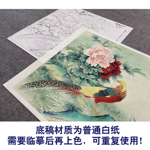 【大彩图】李晓明工笔画白描底稿斗方小品《牡丹锦鸡》临摹勾线花鸟线稿KA12 商品图3