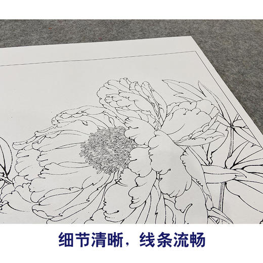 【大彩图】李晓明工笔画白描底稿斗方小品《葛巾紫》牡丹临摹勾线花鸟线稿K040 商品图4