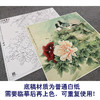 【大彩图】李晓明工笔画白描底稿斗方小品《双鸽赞春光》牡丹鸽子临摹勾线花鸟线稿KA08 商品缩略图3