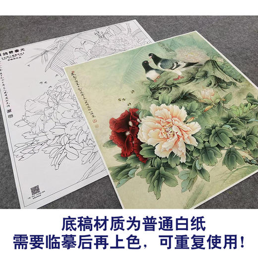 【大彩图】李晓明工笔画白描底稿斗方小品《双鸽赞春光》牡丹鸽子临摹勾线花鸟线稿KA08 商品图3