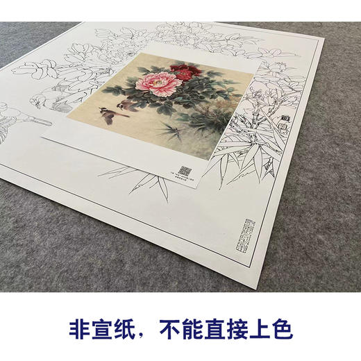 【大彩图】李晓明工笔画白描底稿斗方小品《比翼白头图》牡丹临摹勾线花鸟线稿K043 商品图2