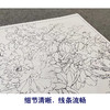 【大彩图】李晓明工笔画白描底稿斗方小品《比翼白头图》牡丹临摹勾线花鸟线稿K043 商品缩略图4