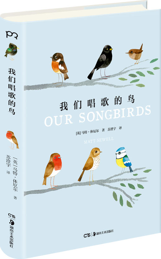 我们唱歌的鸟 商品图0