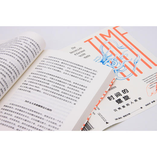 时间的螺旋：贝壳里的人类史 商品图3