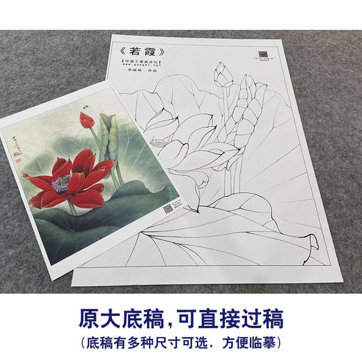 【大彩图】李晓明工笔画白描底稿《若霞》红荷花临摹勾线花鸟线稿K092 商品图1
