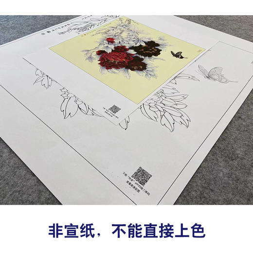 【大彩图】李晓明工笔画白描底稿斗方小品《和风花欲舞》牡丹临摹勾线花鸟线稿K041 商品图2