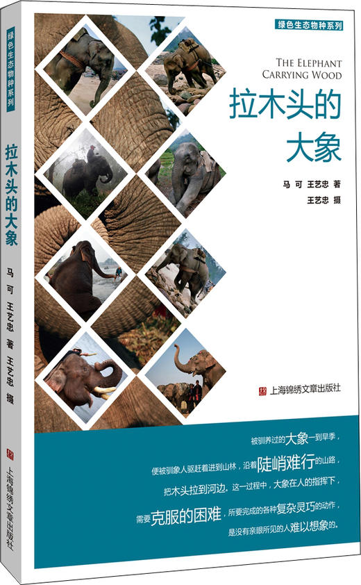 拉木头的大象 商品图0