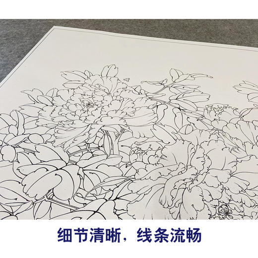 【大彩图】李晓明横幅工笔画白描底稿《群芳谱》牡丹临摹勾线花鸟线稿KA25 商品图4