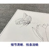 【大彩图】李晓明工笔画白描底稿《玉兰花蝴蝶》临摹勾线花鸟线稿K104 商品缩略图4