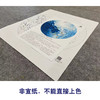 【大彩图】李晓明工笔画白描底稿圆形小品《凤丹白》牡丹蜜蜂临摹勾线花鸟线稿KA01 商品缩略图2