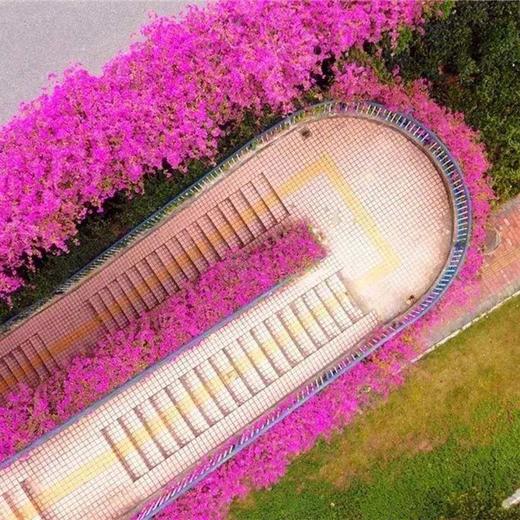 漫步高颜值云端绿道，在山体间穿行，认识新朋友（广州单身活动） 商品图0