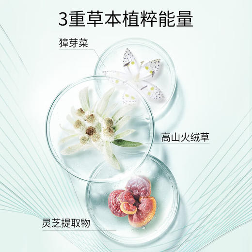 百雀羚(PECHOIN) 肌初赋活紧肤精华水 商品图5