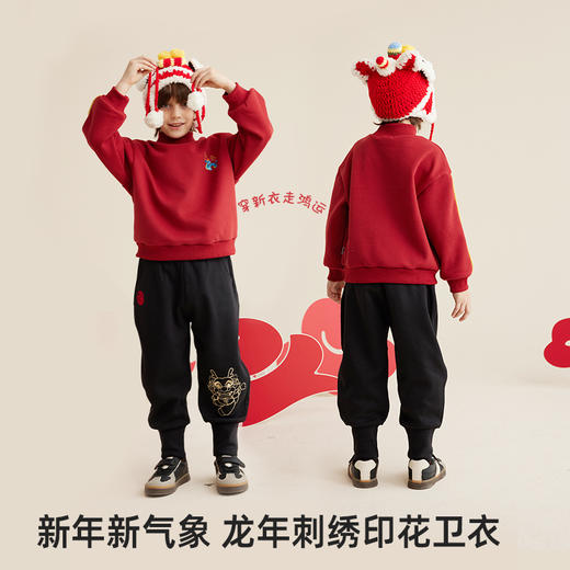 fx-儿童龙年刺绣印花卫衣PDWY2316 商品图1