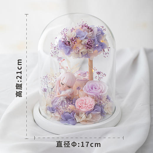 新款小魔女玻璃花园小夜灯永生花 商品图1