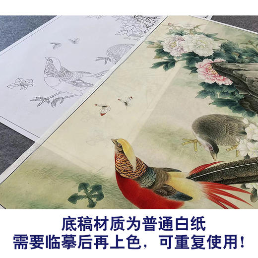 【大彩图】李晓明工笔画白描底稿《锦绣前程图》牡丹锦鸡临摹勾线花鸟线稿K049 商品图3