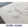 【大彩图】李晓明工笔画白描底稿《锦绣前程图》牡丹锦鸡临摹勾线花鸟线稿K049 商品缩略图4