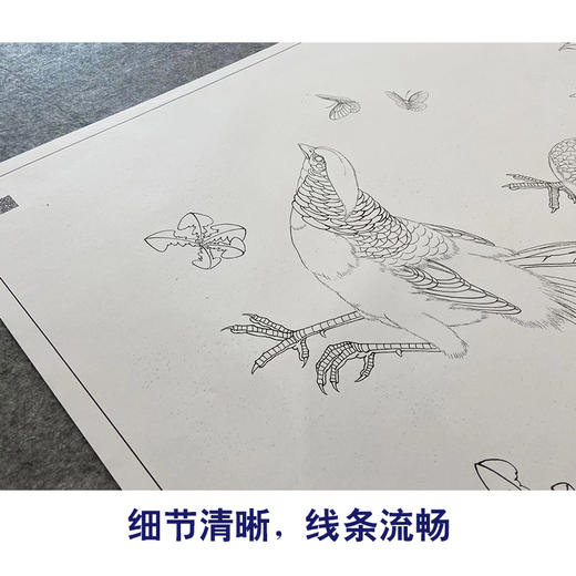 【大彩图】李晓明工笔画白描底稿《锦绣前程图》牡丹锦鸡临摹勾线花鸟线稿K049 商品图4