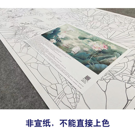 【大彩图】李晓明横幅工笔画白描底稿《荷塘双鹭》荷花白鹭临摹勾线花鸟线稿KA23 商品图2