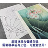 【大彩图】李晓明工笔画白描底稿《花娇欲语》荷花临摹勾线花鸟线稿K084 商品缩略图3