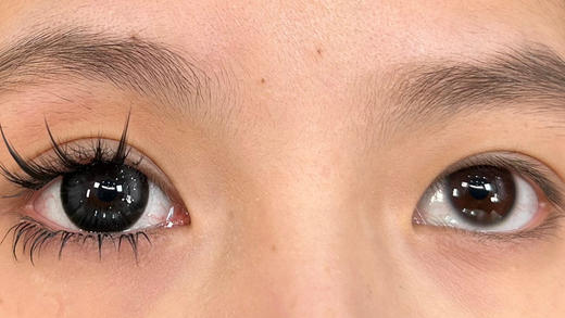 半年抛 Jellydoll 暗黑世界 14.5 粗边黑 商品图5