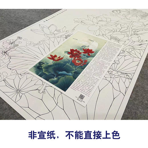 【大彩图】李晓明工笔画白描底稿《双鹭红莲》荷花白鹭临摹勾线花鸟线稿KA14 商品图2