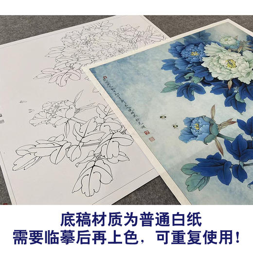 【大彩图】李晓明工笔画白描底稿斗方小品《洛浦初雨》牡丹临摹勾线花鸟线稿K047 商品图3