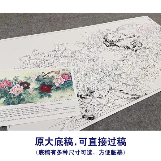 【大彩图】李晓明横幅工笔画白描底稿《群芳谱》牡丹临摹勾线花鸟线稿KA25 商品图1