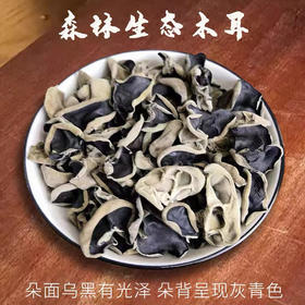 黑龙江生态种植木耳，木耳朵大、肉厚、口感滑润、无污染，以特有的品质闻名，含有人体必需的八种氨基酸和维生素，丰富的胶质可消食化滞，年产量300万千克以上，被中外客商称为"天下第一耳！
500克/袋