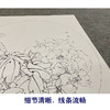 【大彩图】李晓明工笔画白描底稿圆形小品《凤丹白》牡丹蜜蜂临摹勾线花鸟线稿KA01 商品缩略图4