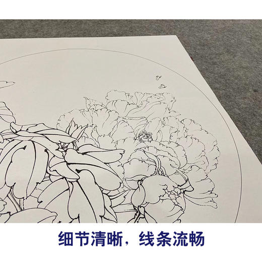 【大彩图】李晓明工笔画白描底稿圆形小品《凤丹白》牡丹蜜蜂临摹勾线花鸟线稿KA01 商品图4