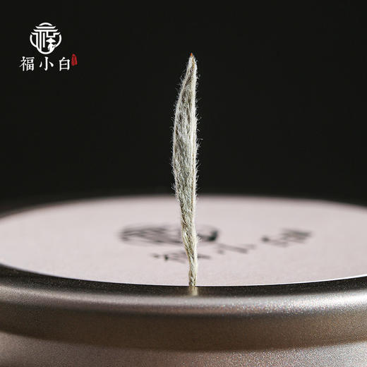 福小白 福地福鼎白茶2023一级白毫银针75g 商品图4