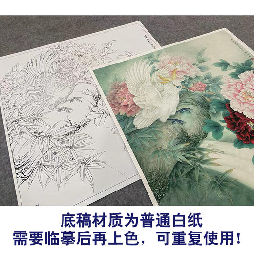 【大彩图】李晓明工笔画白描底稿斗方小品《独舞花间》牡丹鹦鹉临摹勾线花鸟线稿KA07 商品图3
