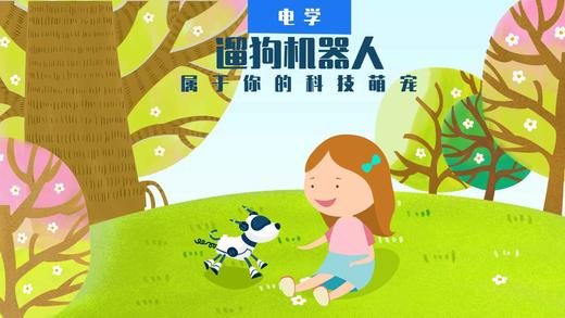 Lv.28 第9节课【遛狗机器人】（学习课件） 商品图0