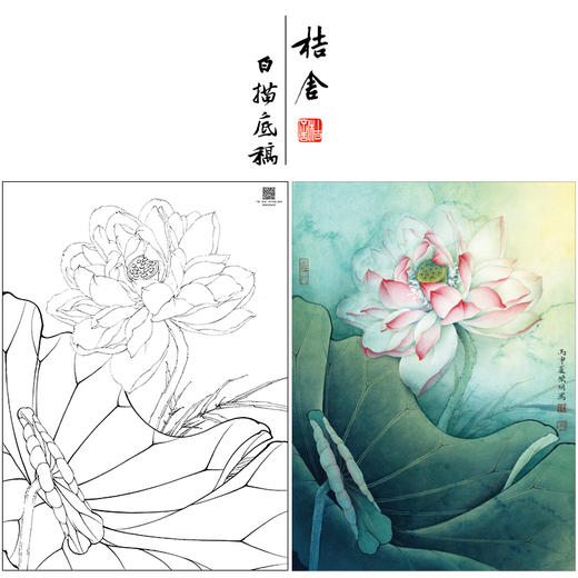 【大彩图】李晓明工笔画白描底稿《花娇欲语》荷花临摹勾线花鸟线稿K084 商品图0