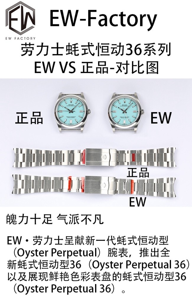 EW劳力士蚝式恒动36系列复刻手表真假对比评测