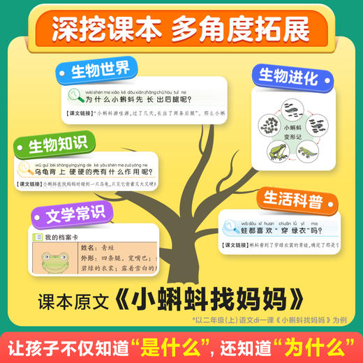 2024小白鸥课本里的无数个为什么小学生一年级课外阅读书二三四五六年级必读书籍儿童十万个为什么语文数学科学上下册趣味百科图书 商品图3