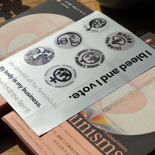 女性主义全球史（英）露西·德拉普 著 商品图5