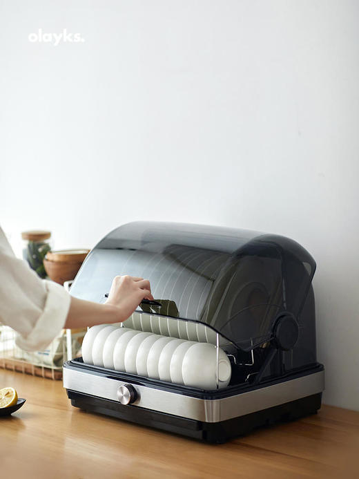 olayks欧莱克出口消毒碗柜小型家用台式消毒柜碗筷餐具茶杯子奶瓶消毒器 商品图4