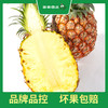 PAGODA百果园 金钻凤梨2粒家庭装（3斤以上） 商品缩略图3