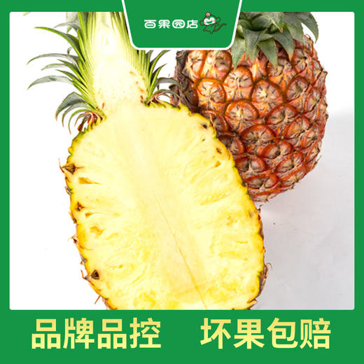 PAGODA百果园 金钻凤梨2粒家庭装（3斤以上） 商品图3
