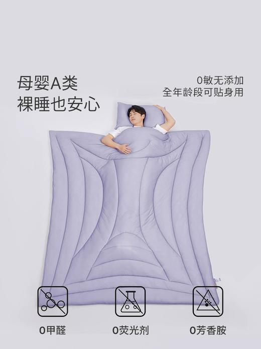 艾美家 云朵被保暖冬被单双人被子四季通用被芯春秋被褥冬季加厚被 商品图3